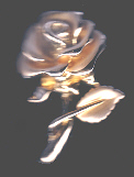 Goldene Rose