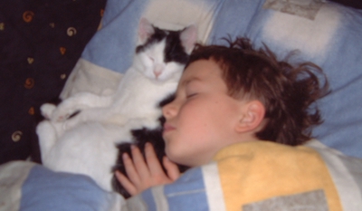 Katze schläft neben dem Jungen